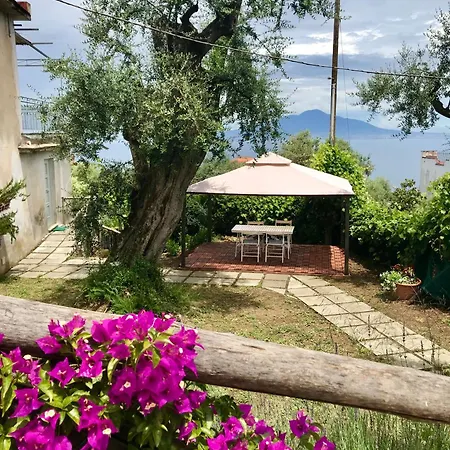 Maison d'hôtes Garden 4*