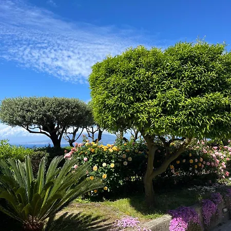 Garden Maison d'hôtes