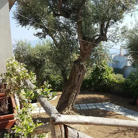 Gasthuis Garden Sorrento